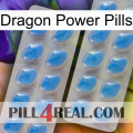 Dragon Power Pills 23